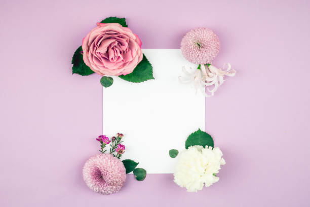 Curated gift sets
